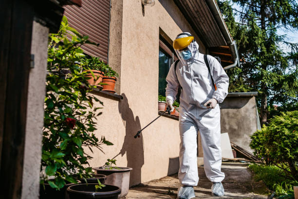 Professional Pest Control in Graham, TX