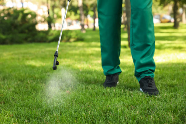 Best Wildlife Control Services  in Graham, TX