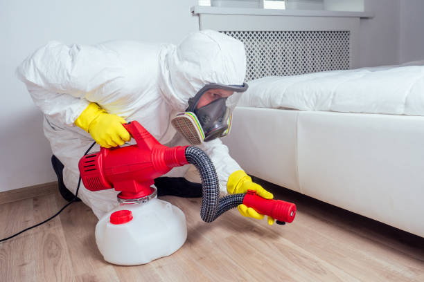 Best Cockroach Control Services  in Graham, TX