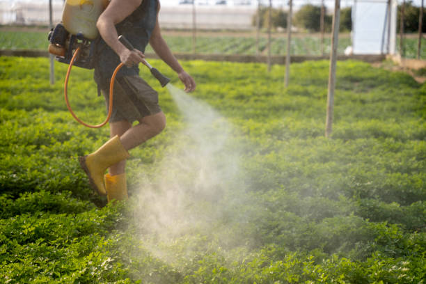 Best Pest Prevention Services  in Graham, TX