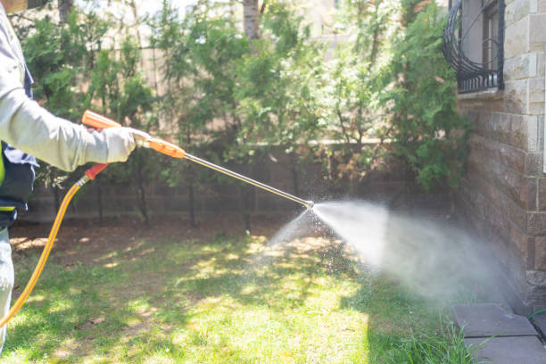 Best Bird Control  in Graham, TX
