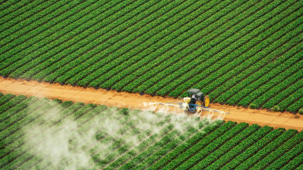 Best Pest Prevention Services  in Graham, TX