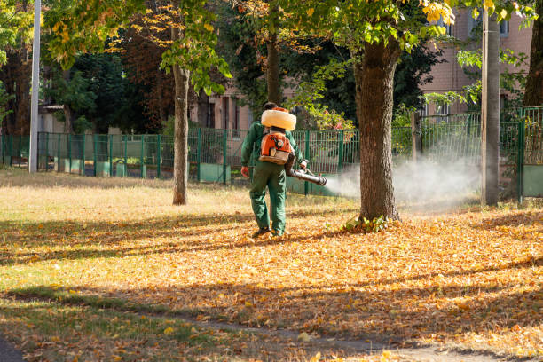 Best Bed Bug Extermination  in Graham, TX