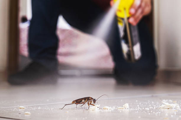 Best Commercial Pest Control Services  in Graham, TX