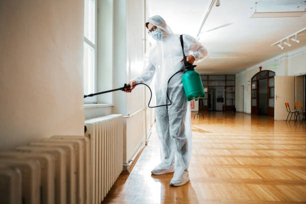 Best Pest Removal Services  in Graham, TX